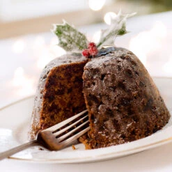 Satsuma Plum Tree 13 Satsuma Plum Tree -Lanscapes Store Satsuma Plum 4