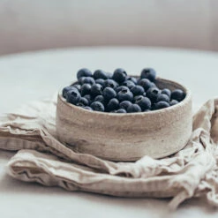 Sharpblue Blueberry Bush 7 Sharpblue Blueberry Bush -Lanscapes Store Sharpblue Blueberry 1