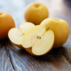 Shinseiki Asian Pear Tree -Lanscapes Store Shinseiki Asian Pear 5 FGT 5a5b3a9a ba1b 4c34 ab3a 649876b9efb2