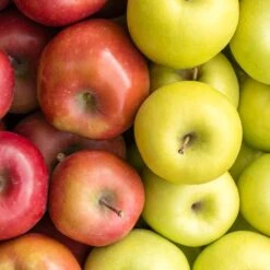 5-in-1 Apple Surprise Tree -Lanscapes Store Surprise Apple 1