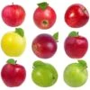 5-in-1 Apple Surprise Tree 1 5-in-1 Apple Surprise Tree -Lanscapes Store Surprise Apple 600x600 48c781e7 f482 420a 814a 99824e3c36bc