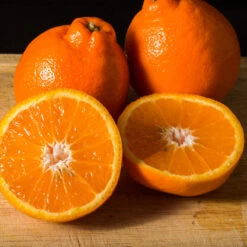 Tangelo Tree -Lanscapes Store Tangelo 3 FGT