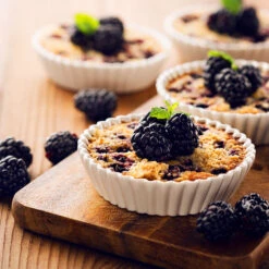 Thornless Blackberry -Lanscapes Store Thornless Blackberry 2