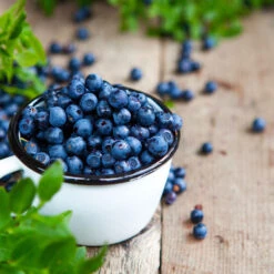 Lanscapes Store -Lanscapes Store TifBlue Blueberry 4 f2beb1e2 091c 46f4 93c6 41d9dfe3f5d4