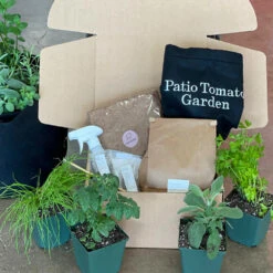 Patio Tomato Garden -Lanscapes Store Tomato Garden kit 2