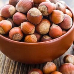 Tonda Di Giffoni Filbert -Lanscapes Store Tonda Hazelnuts 400 2