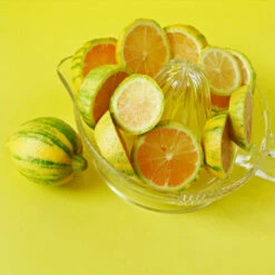 Pink Variegated Eureka Lemon Tree -Lanscapes Store Variegated Pink Eureka 3 fc1d5a93 7ca6 443b a4e9 221de3f12f84