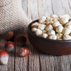 York Filbert Hazelnut 12 York Filbert Hazelnut -Lanscapes Store York Hazelnut 5